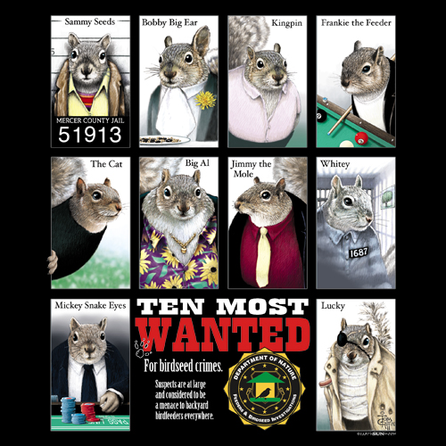 Most Wanted Squirrels