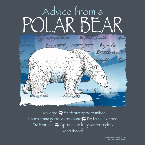 Advice Polar Bear