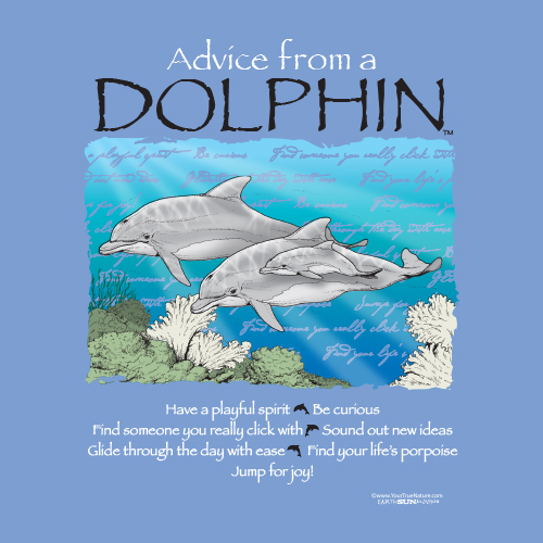 Advice Dolphin