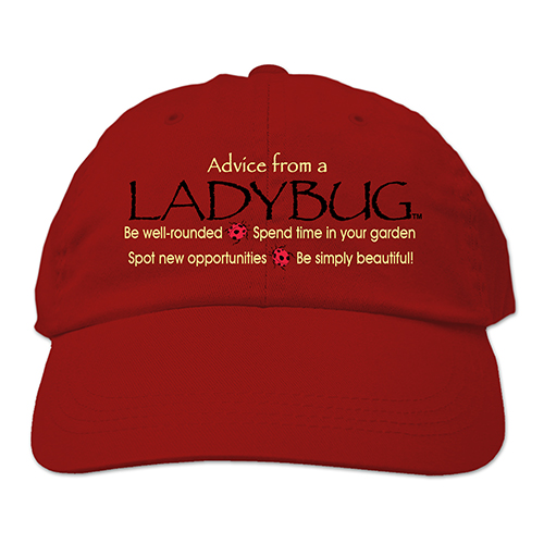 Advice Ladybug