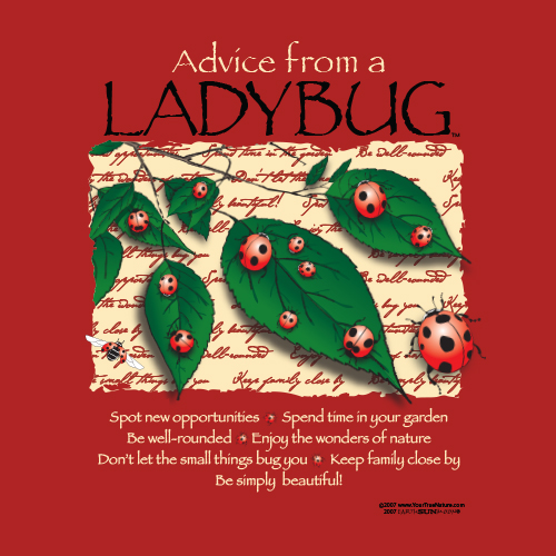 Advice Ladybug
