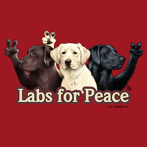 Labs for Peace