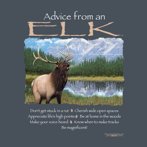 Advice Elk