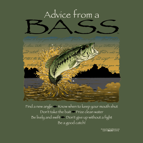Advice Bass