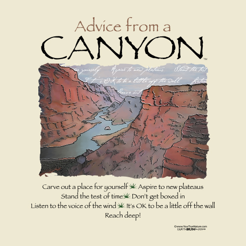 Advice From A Canyon