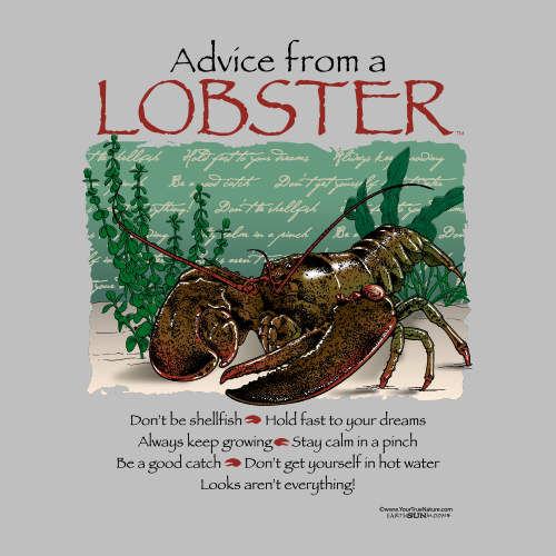 Advice Lobster