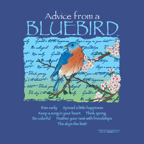 Advice Bluebird