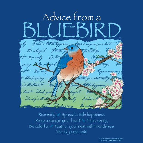 Advice From A Bluebird | Earth Sun Moon | Earth Sun Moon