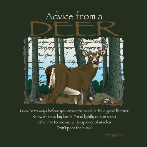 Advice Deer