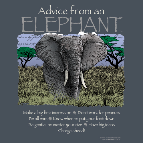 Advice Elephant