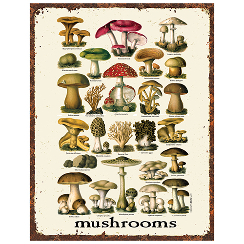 Vintage Mushrooms