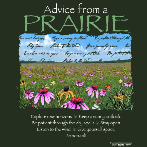 Advice Prairie