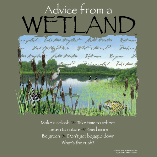 Advice Wetland