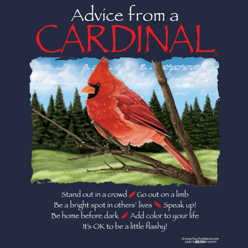 Advice Cardinal