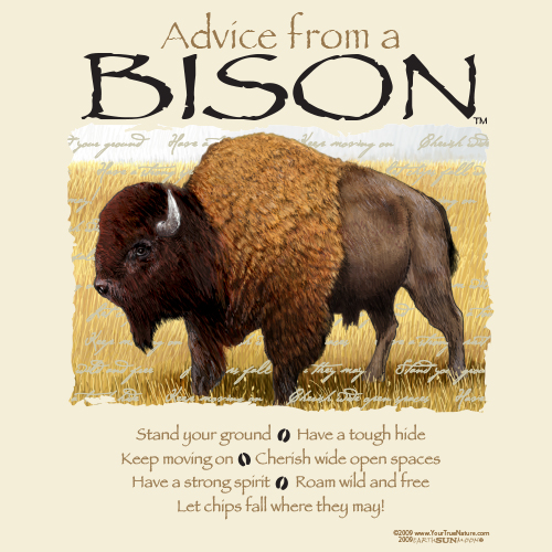 Advice Bison