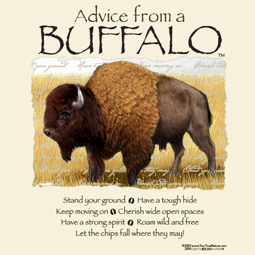 Advice Buffalo