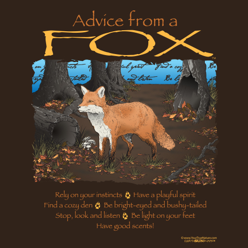 Advice Fox