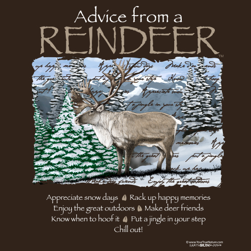 Advice from a Reindeer