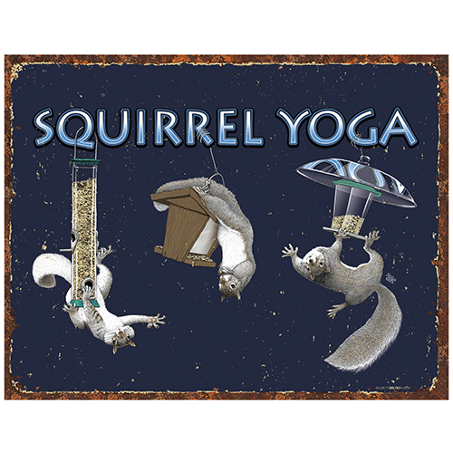 Squirrel Yoga