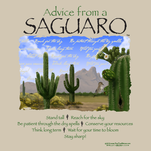 Advice Saguaro