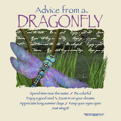 Advice Dragonfly