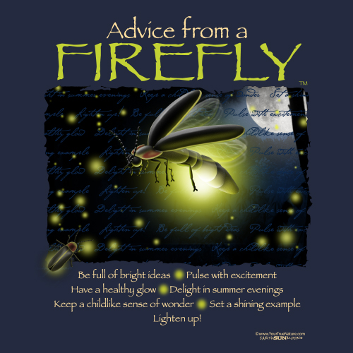 Advice from a Firefly