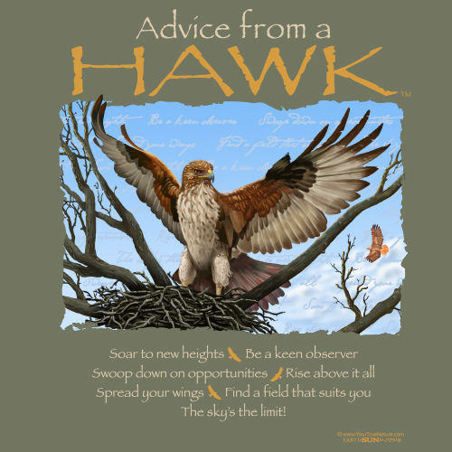 Advice Hawk