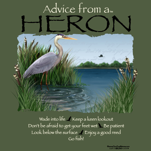 Advice Heron