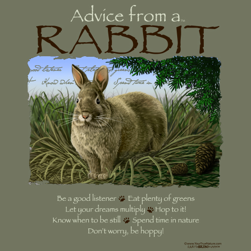 Advice Rabbit
