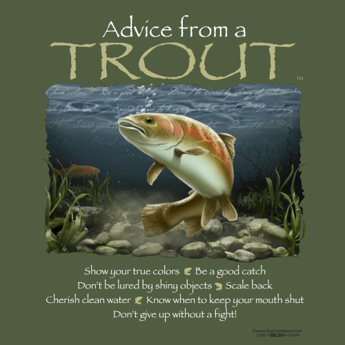Advice Trout