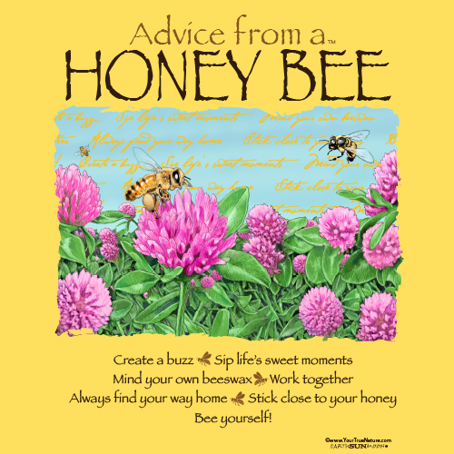Advice from a Honey Bee