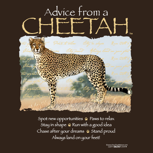 Advice Cheetah