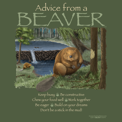 Advice Beaver