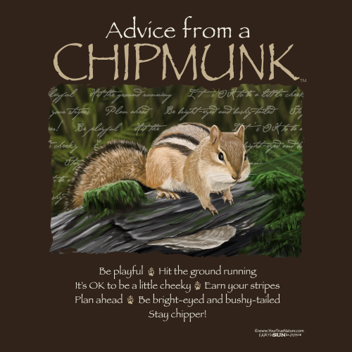 Advice Chipmunk