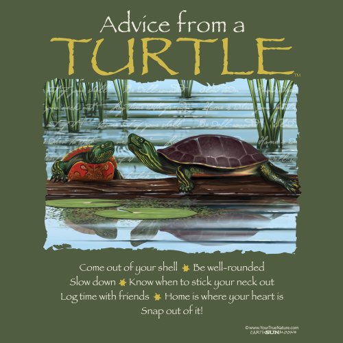 Advice Turtle