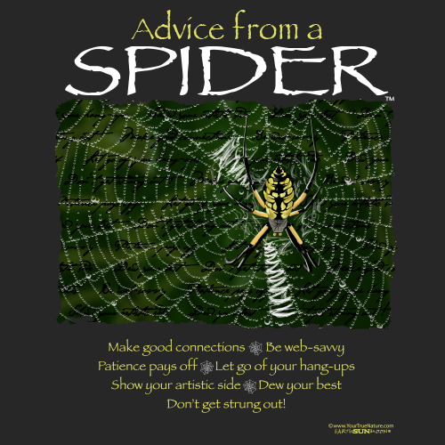 Advice Spider