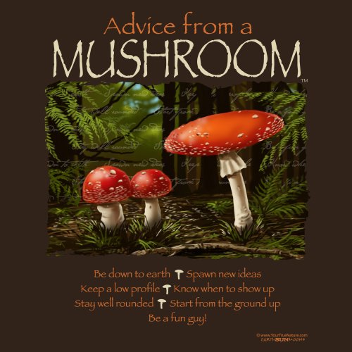 Advice Mushroom