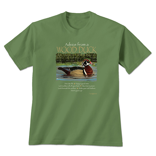 Advice Wood Duck