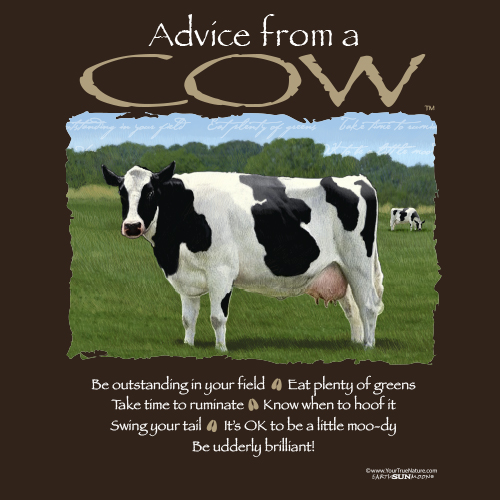 Advice Cow