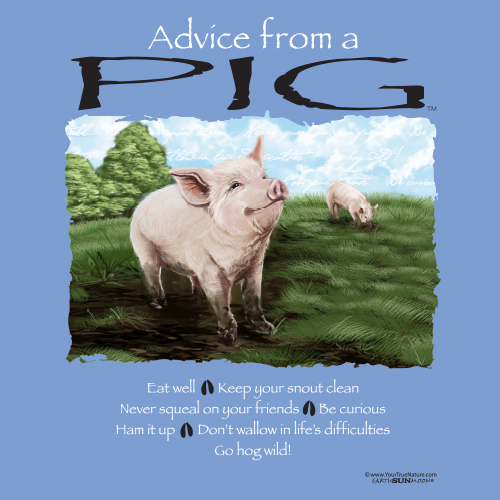 Advice Pig