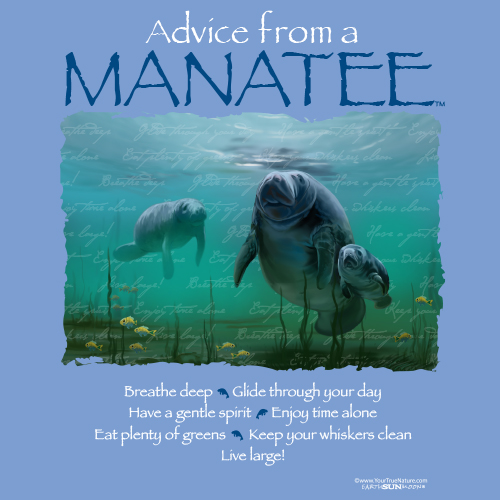 Advice Manatee