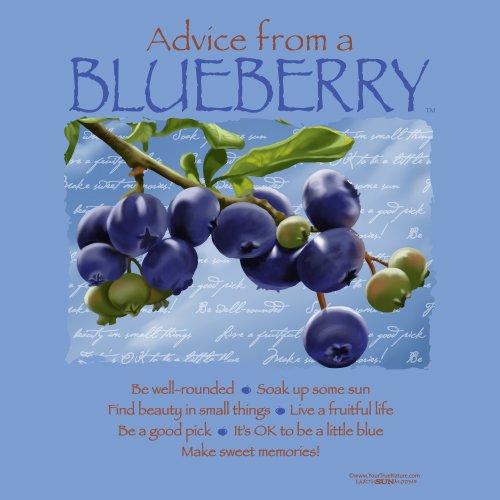 Advice Blueberry