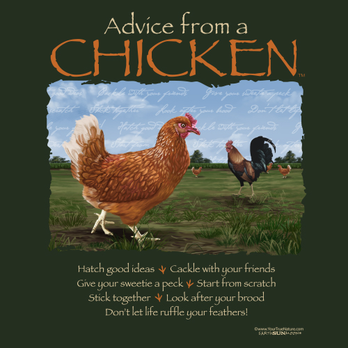 Advice Chicken
