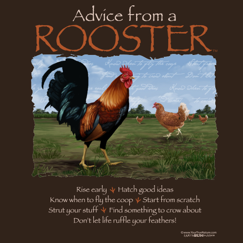 Advice Rooster