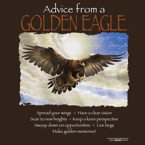 Advice Golden Eagle