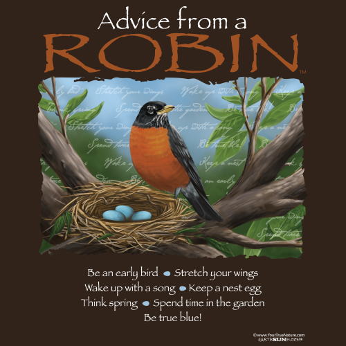 Advice Robin