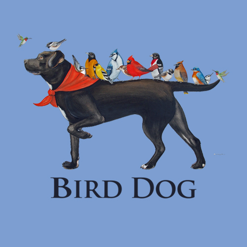 Bird Dog