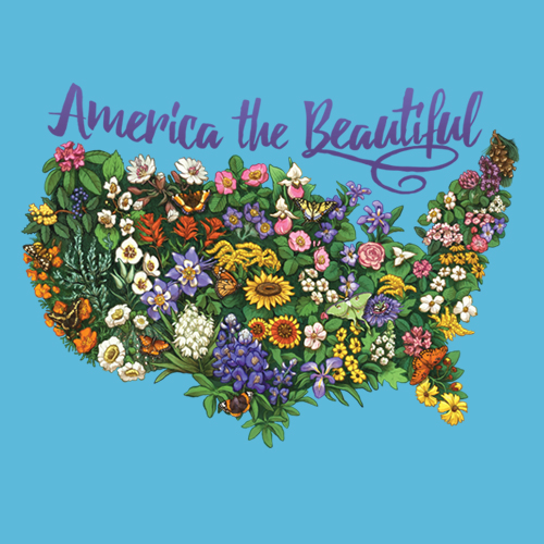 America The Beautiful