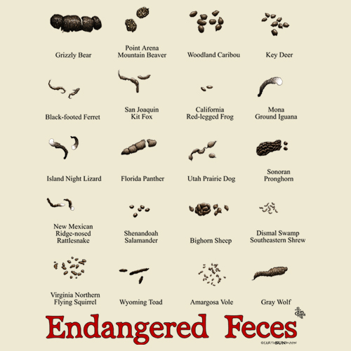 Endangered Feces