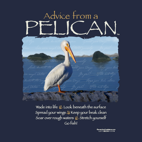 Advice Pelican